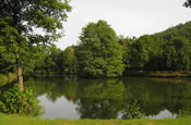 Idyllischer See - Natur pur