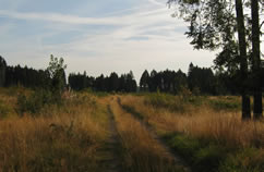 Wandern in herrlicher Mittelgebirgslandschaft